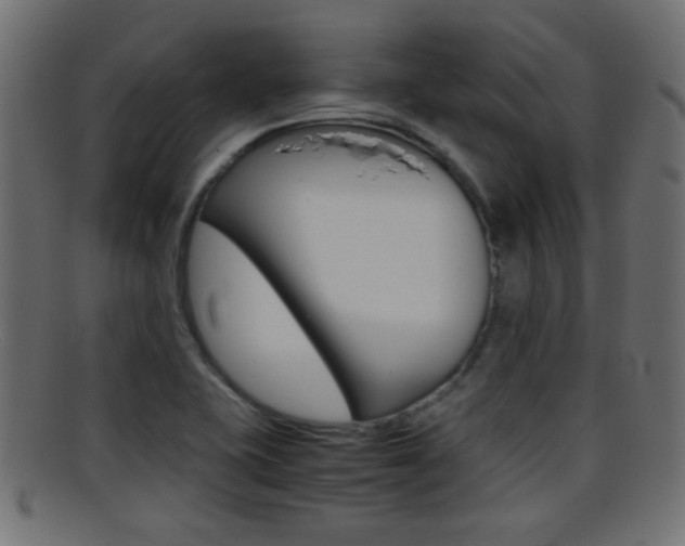 X0000095691415200801081029