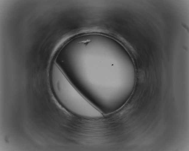 X0000095691416200801081029