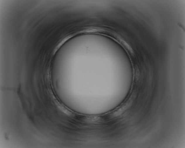 X0000095691417200801081029
