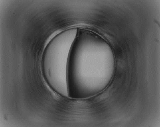 X0000095691418200801081029