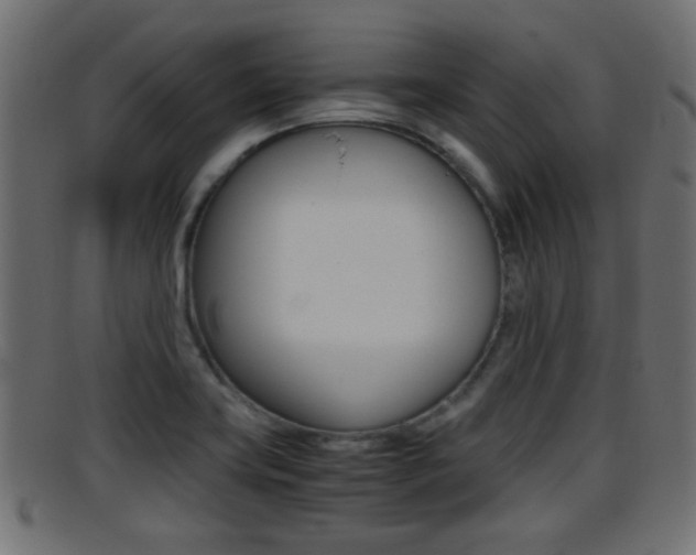 X0000095691419200801081029