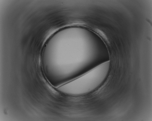 X0000095691420200801081029