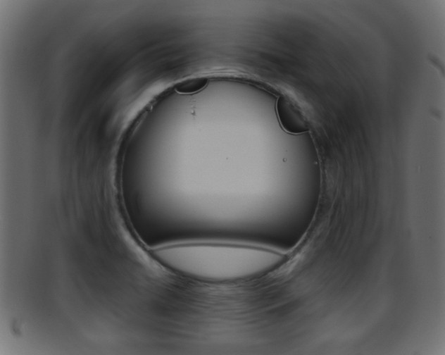 X0000095691422200801081029