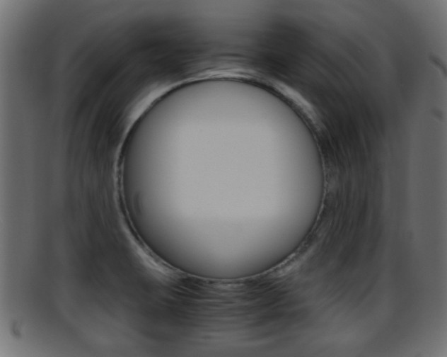 X0000095691423200801081029