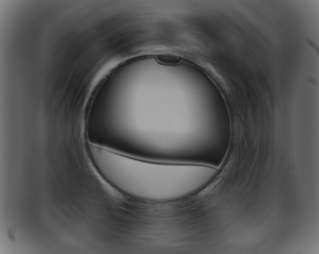 X0000095691424200801081029