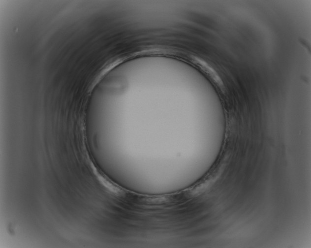 X0000095691425200801081029