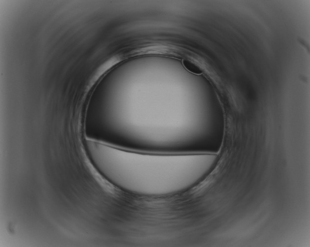 X0000095691426200801081029