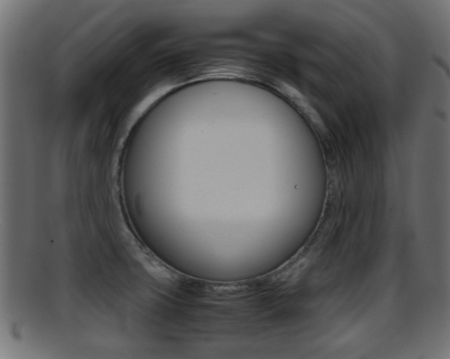 X0000095691427200801081029