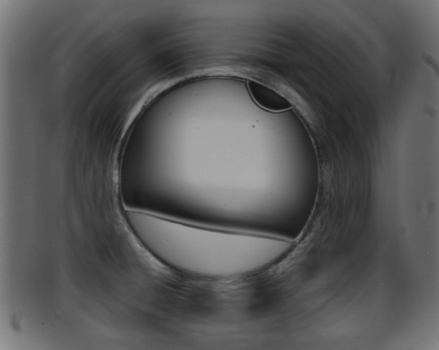 X0000095691428200801081029