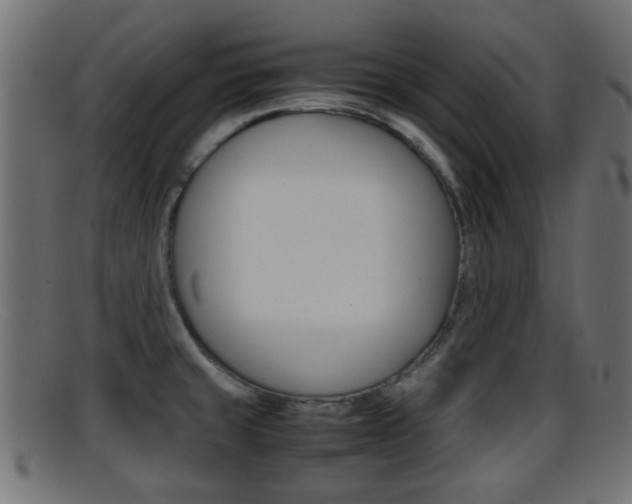 X0000095691429200801081029
