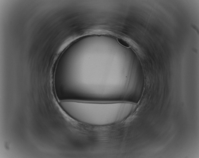 X0000095691430200801081029