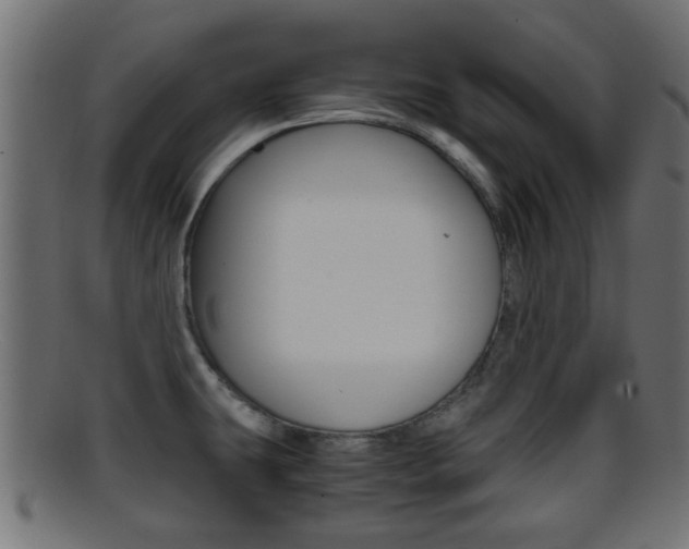 X0000095691431200801081029