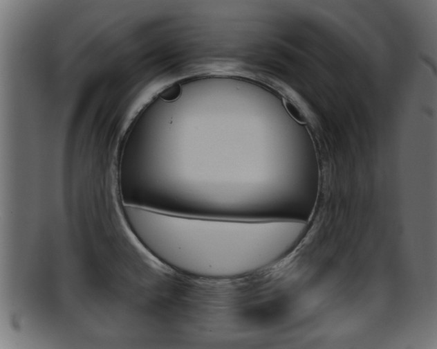 X0000095691432200801081029