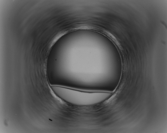 X0000095691433200801081029
