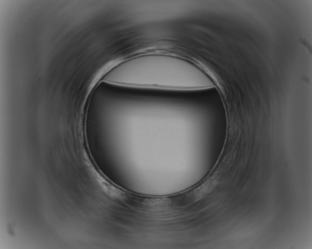 X0000095691434200801081029
