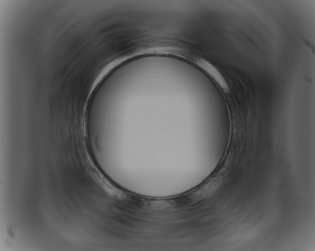 X0000095691436200801081029