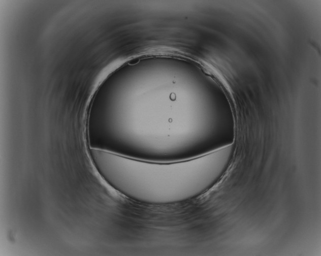 X0000095691437200801081029
