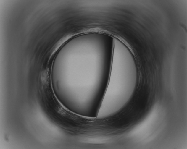 X0000095691438200801081029