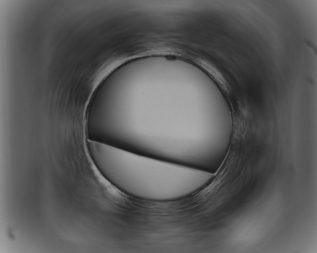 X0000095691439200801081029
