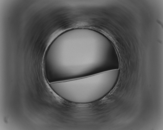 X0000095691440200801081029