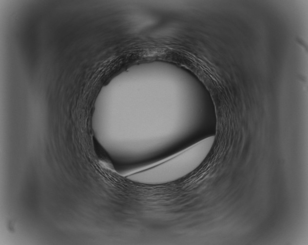 X0000095691441200801081028
