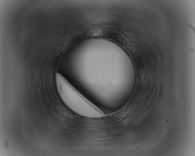 X0000095691442200801081028