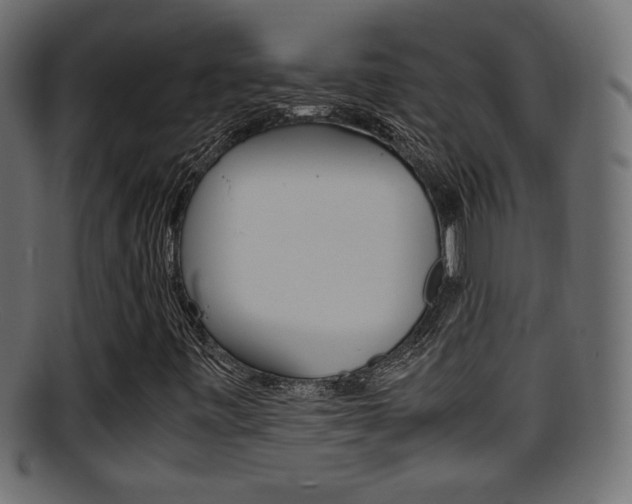 X0000095691443200801081028
