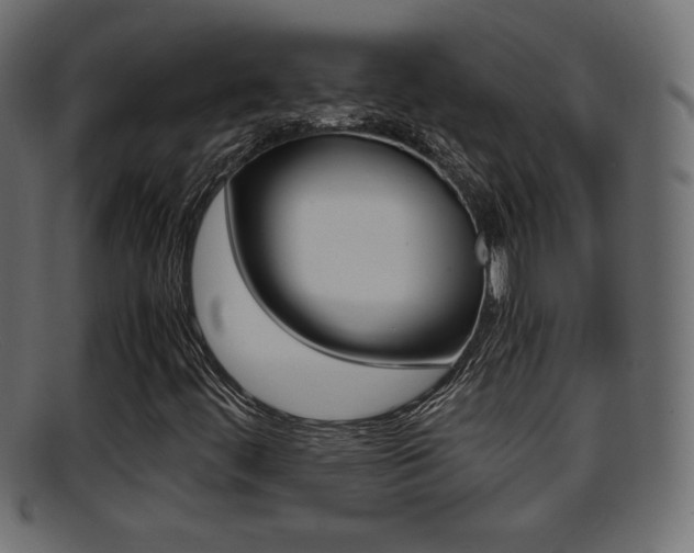 X0000095691444200801081028