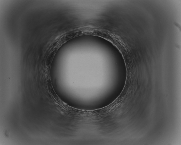 X0000095691445200801081028