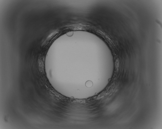 X0000095691446200801081028