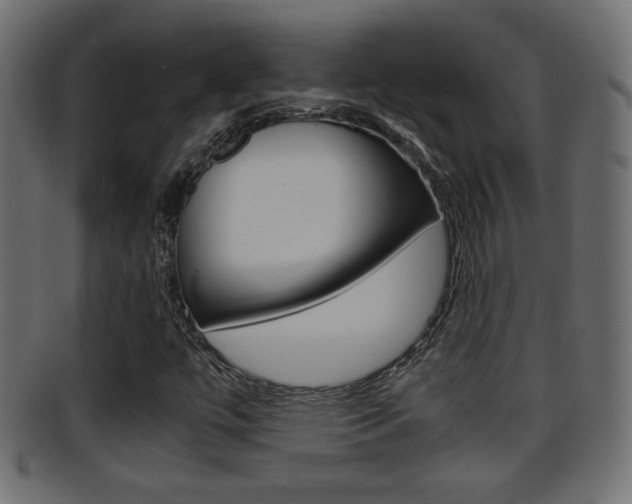 X0000095691447200801081028