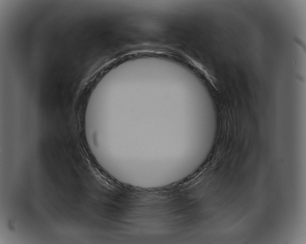 X0000095691448200801081028