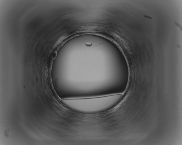 X0000095691449200801081028