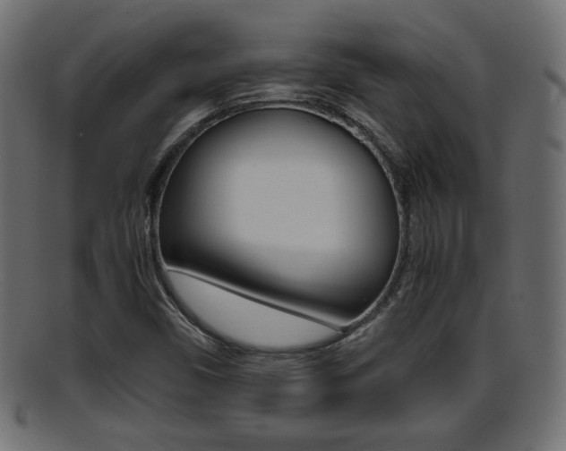 X0000095691450200801081028