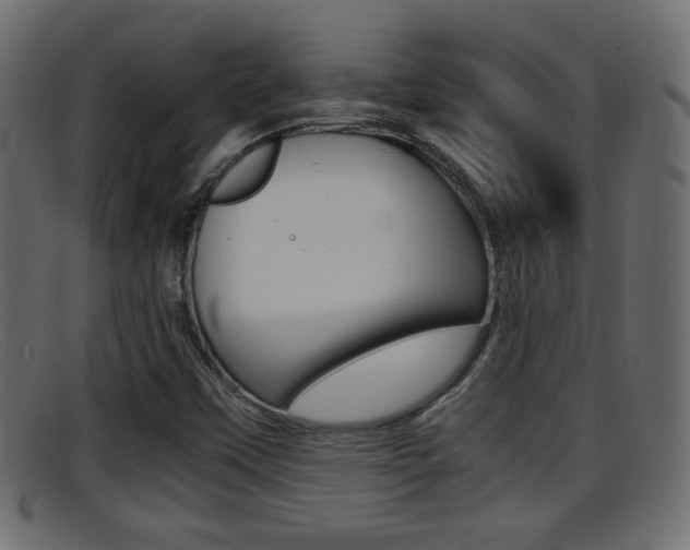 X0000095691451200801081028