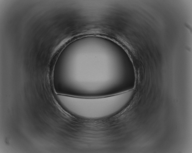 X0000095691452200801081028