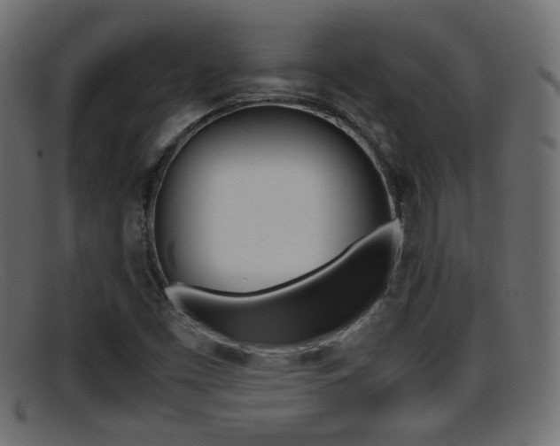 X0000095691453200801081028