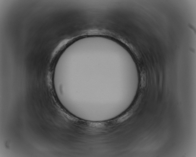 X0000095691454200801081028