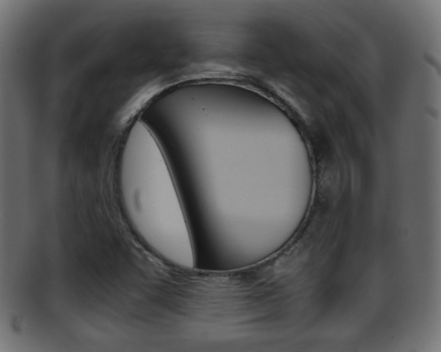 X0000095691455200801081028