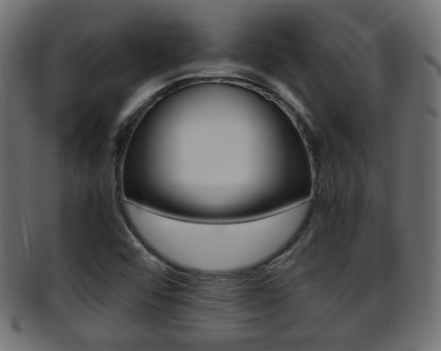 X0000095691456200801081028