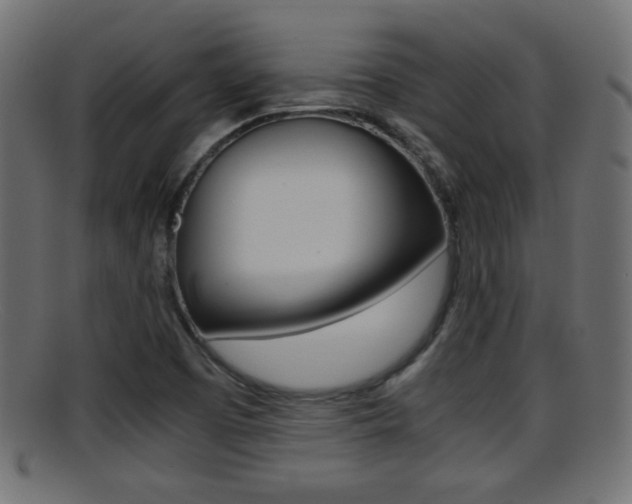 X0000095691457200801081028