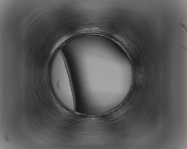 X0000095691458200801081028
