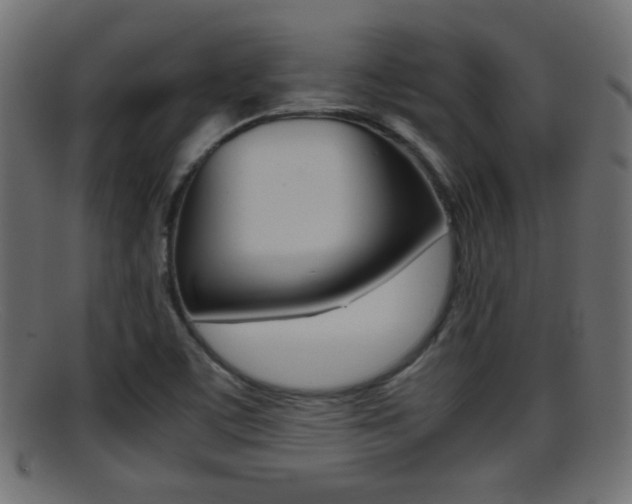 X0000095691459200801081028