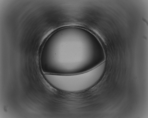 X0000095691460200801081028