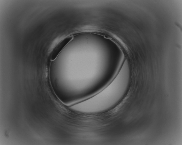 X0000095691461200801081028