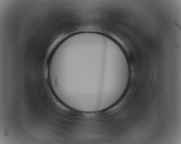 X0000095691462200801081028