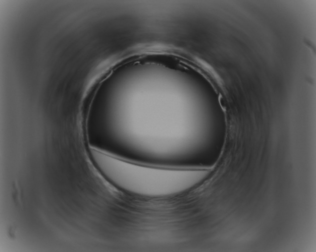 X0000095691464200801081028