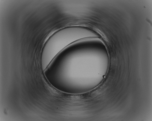 X0000095691465200801081028