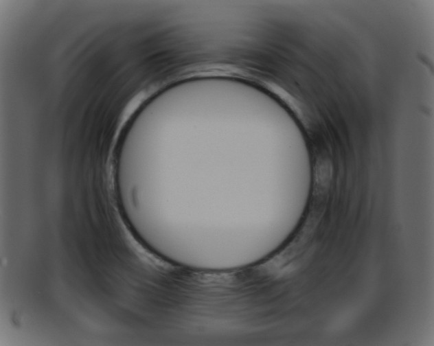 X0000095691466200801081028