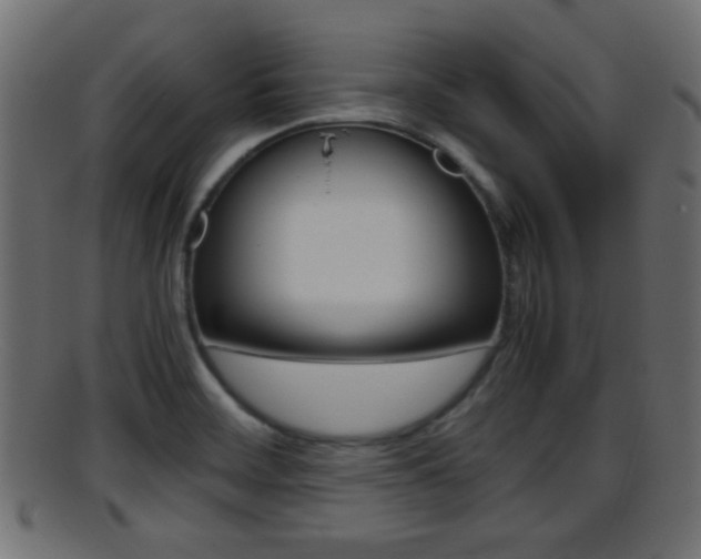 X0000095691468200801081028